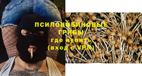 первитин Нягань
